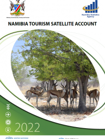 NAMIBIA 2022 visual data 7